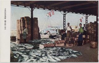 小名浜魚市場鰹・鮪大漁の実況