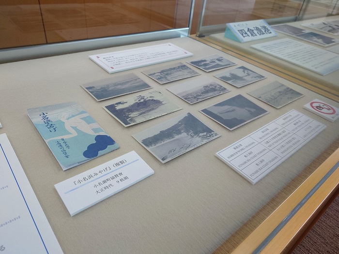 展示写真3.JPG