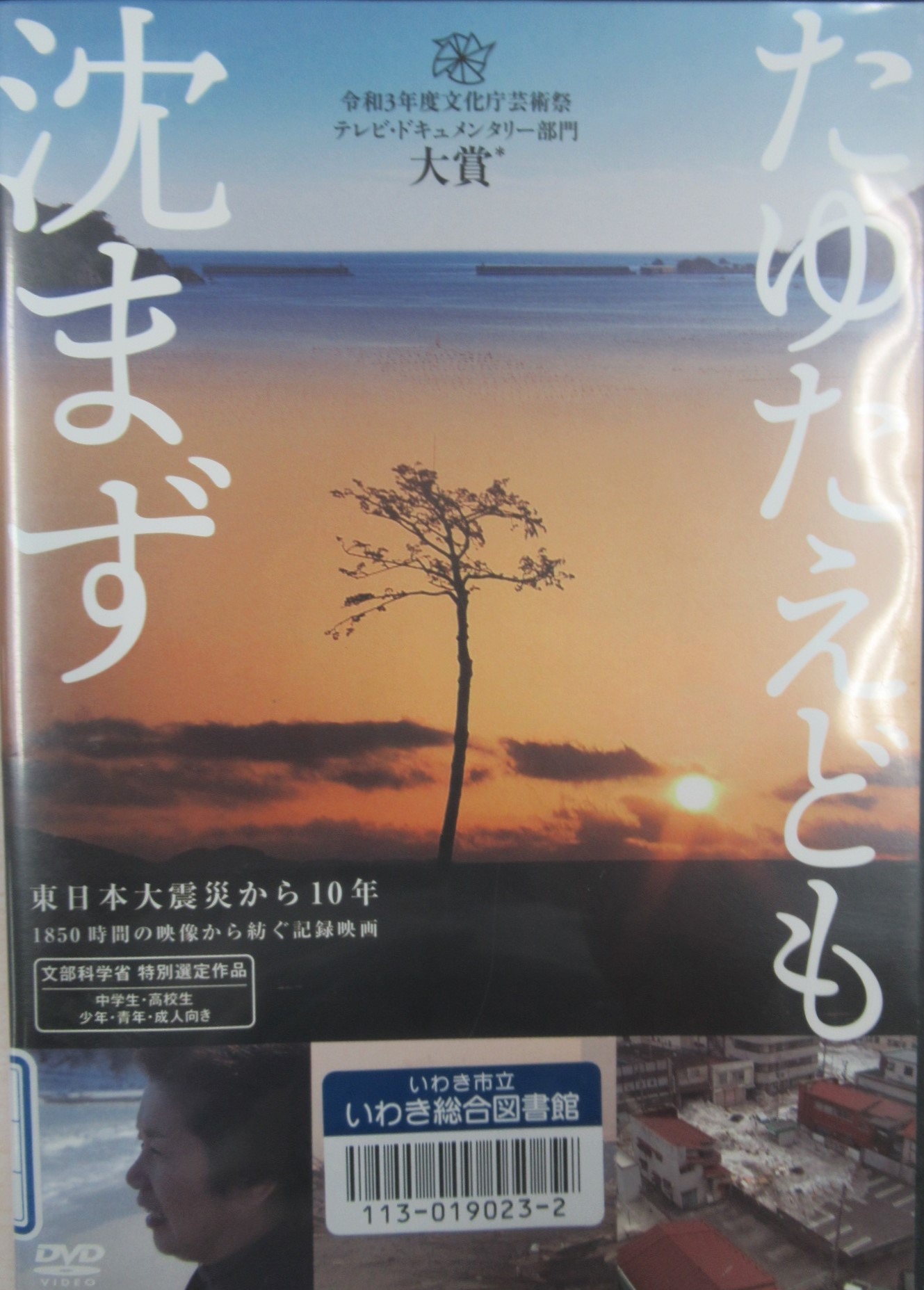 たゆたえども沈まず